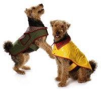 7752 Hundemantel, Schnittmuster von Burda 7752 Hundemantel, Schnittmuster von Burda